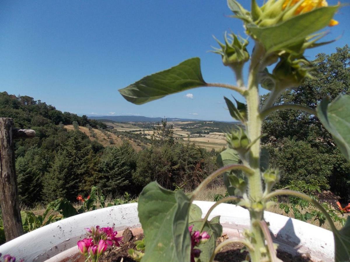 Panorama-Ferien-Toscana Your Cozy And Fully Equipped Vacation Home Massa Marittima Exterior photo